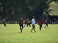 Tn dsc 0649